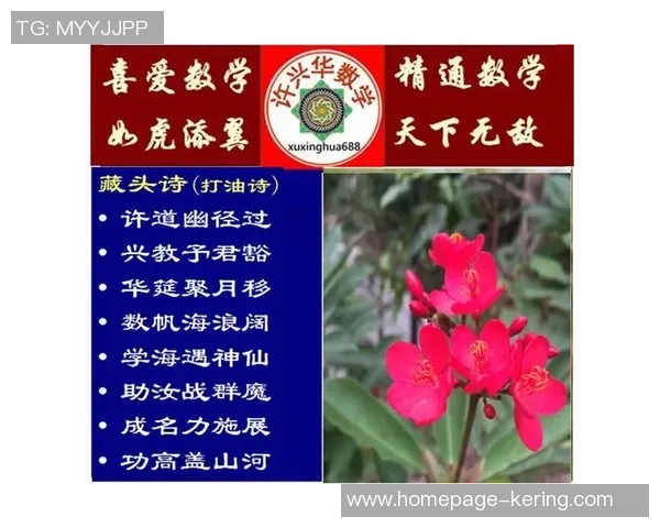 扣鸟与其背后含义的深度解析与探讨